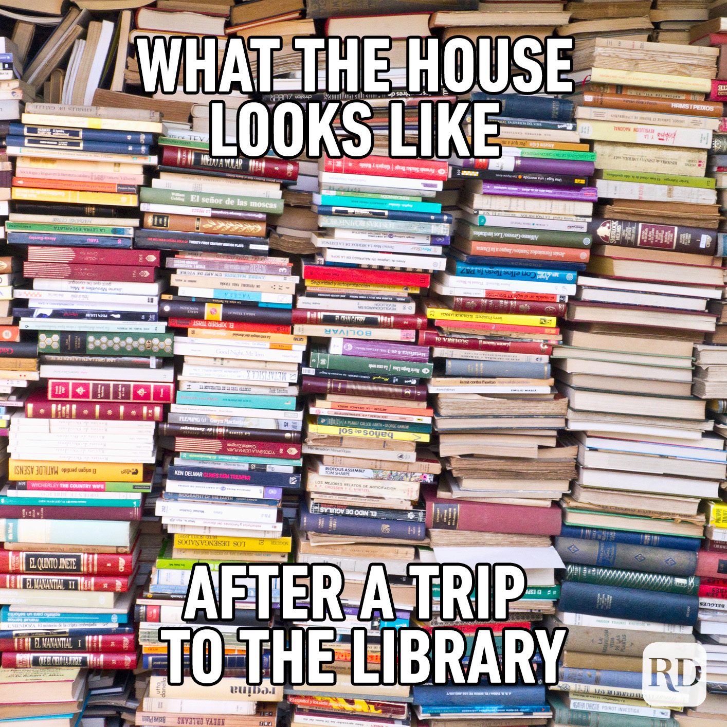 What The House Looks Like After A Trip To The Library