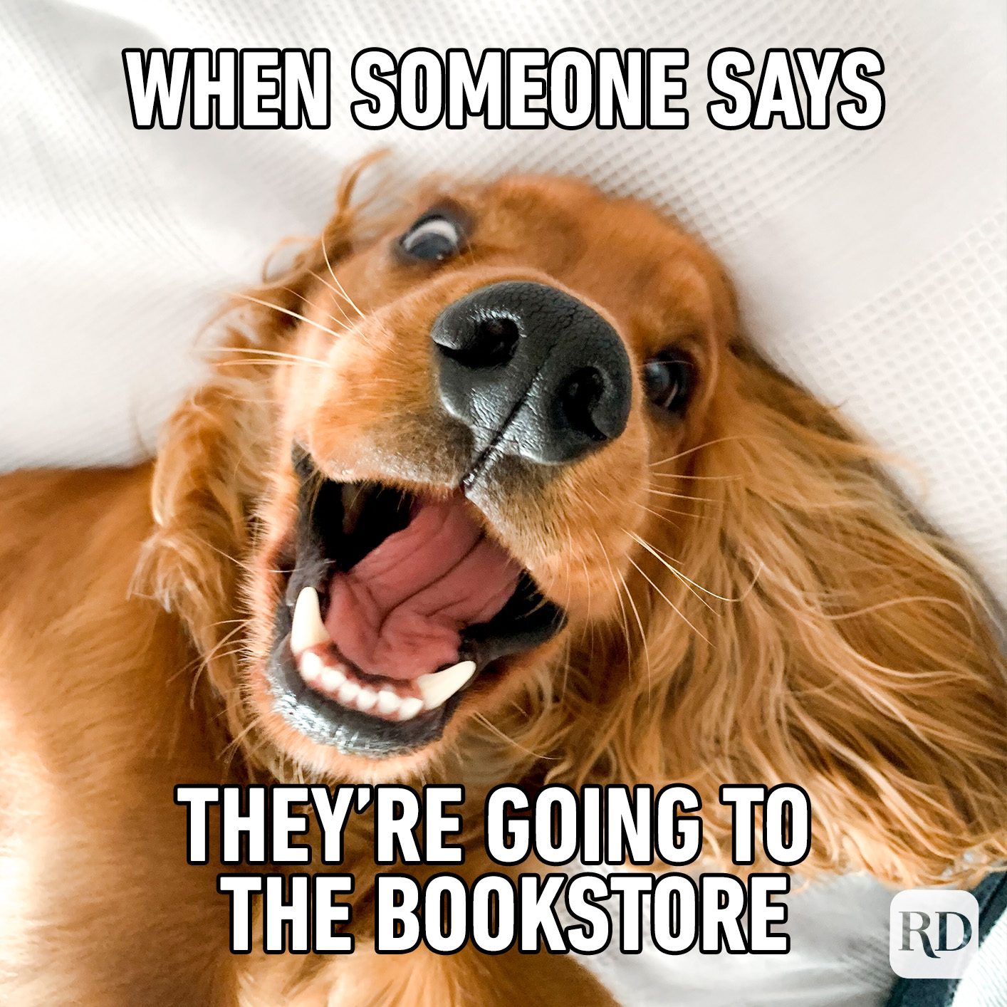 When Someone Says Their Going To The Bookstore