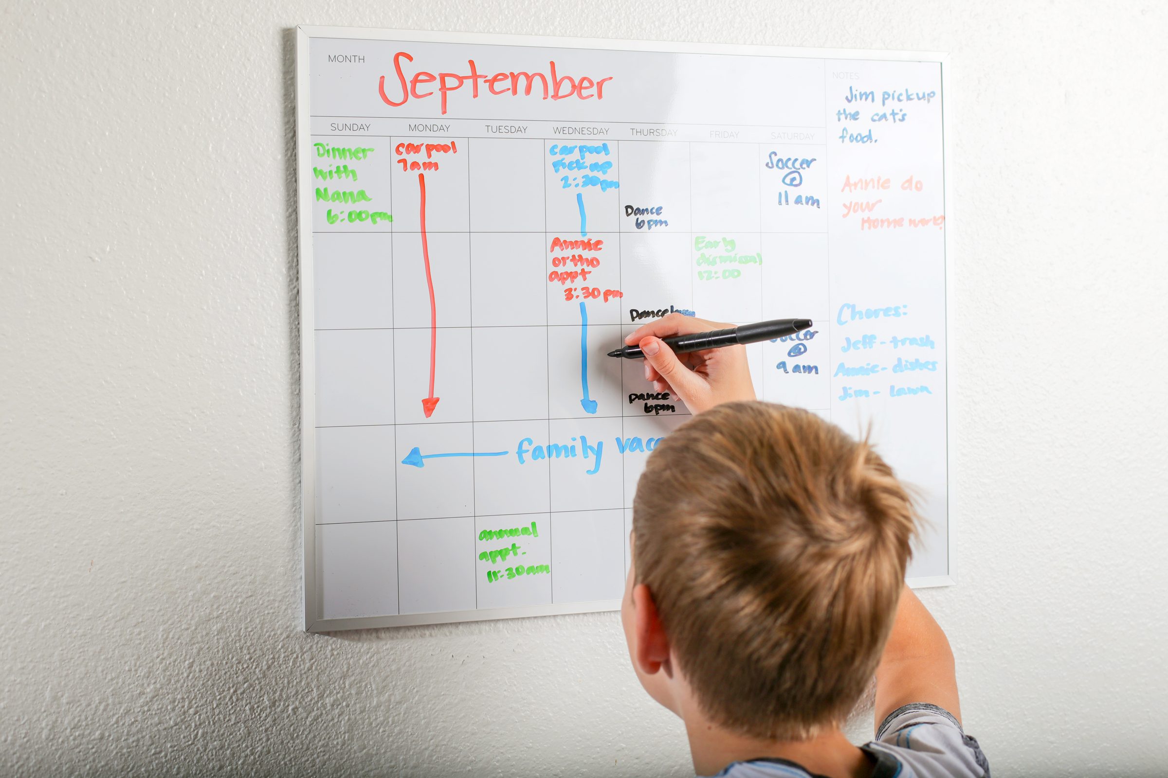Dry Erase Scheduler family