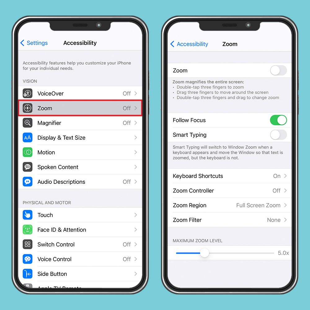 Iphone Zoom Settings