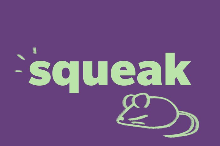 Squeak
