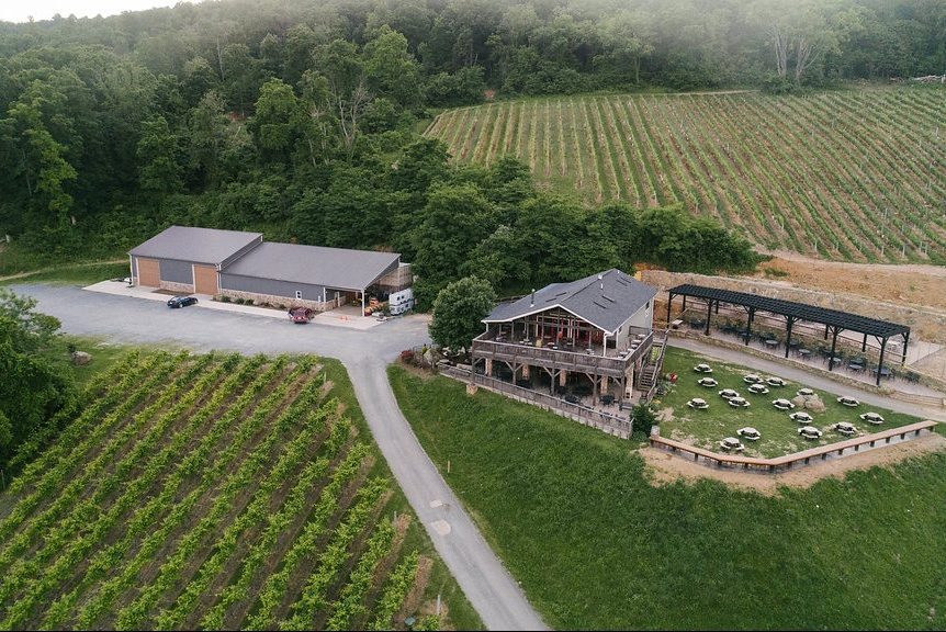 Bluemont Vineyard