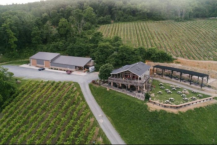 Bluemont Vineyard