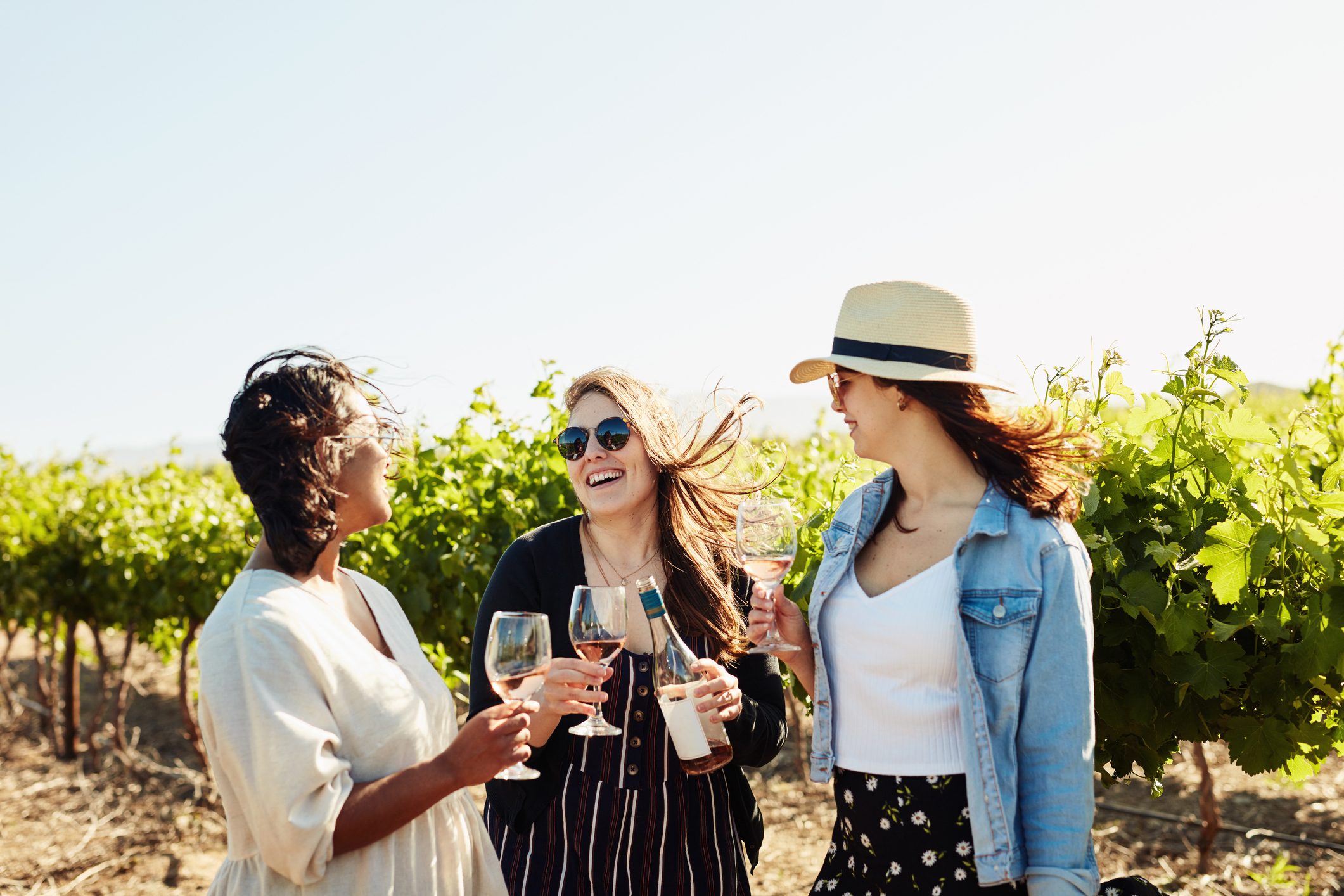 three girlfriends laughing while drinking wine at a winery vineyard