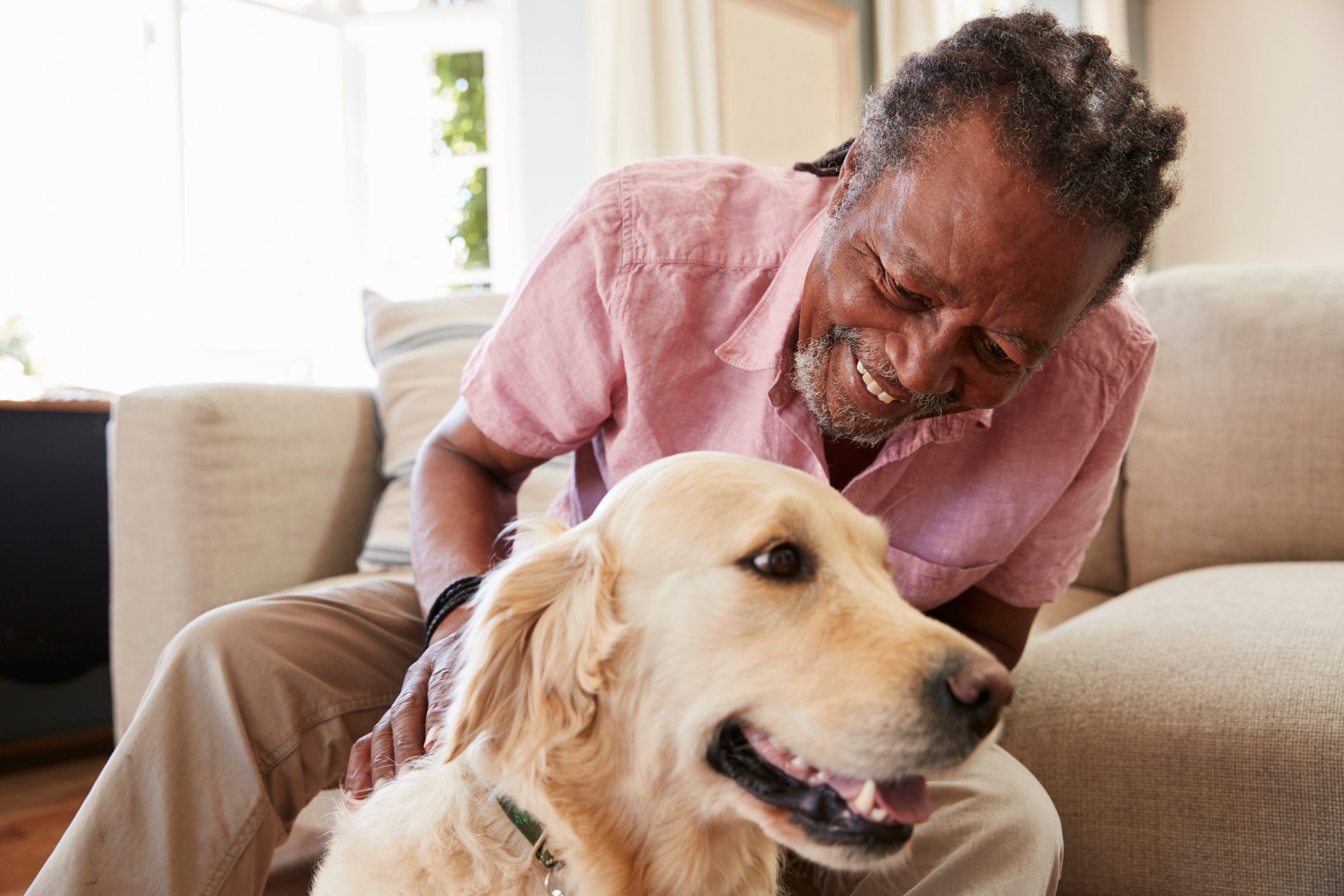 15 Best Dogs for Seniors