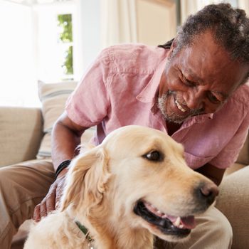 Senior Man Sitting On Sofa At Home With Pet Golden Retriever Dog