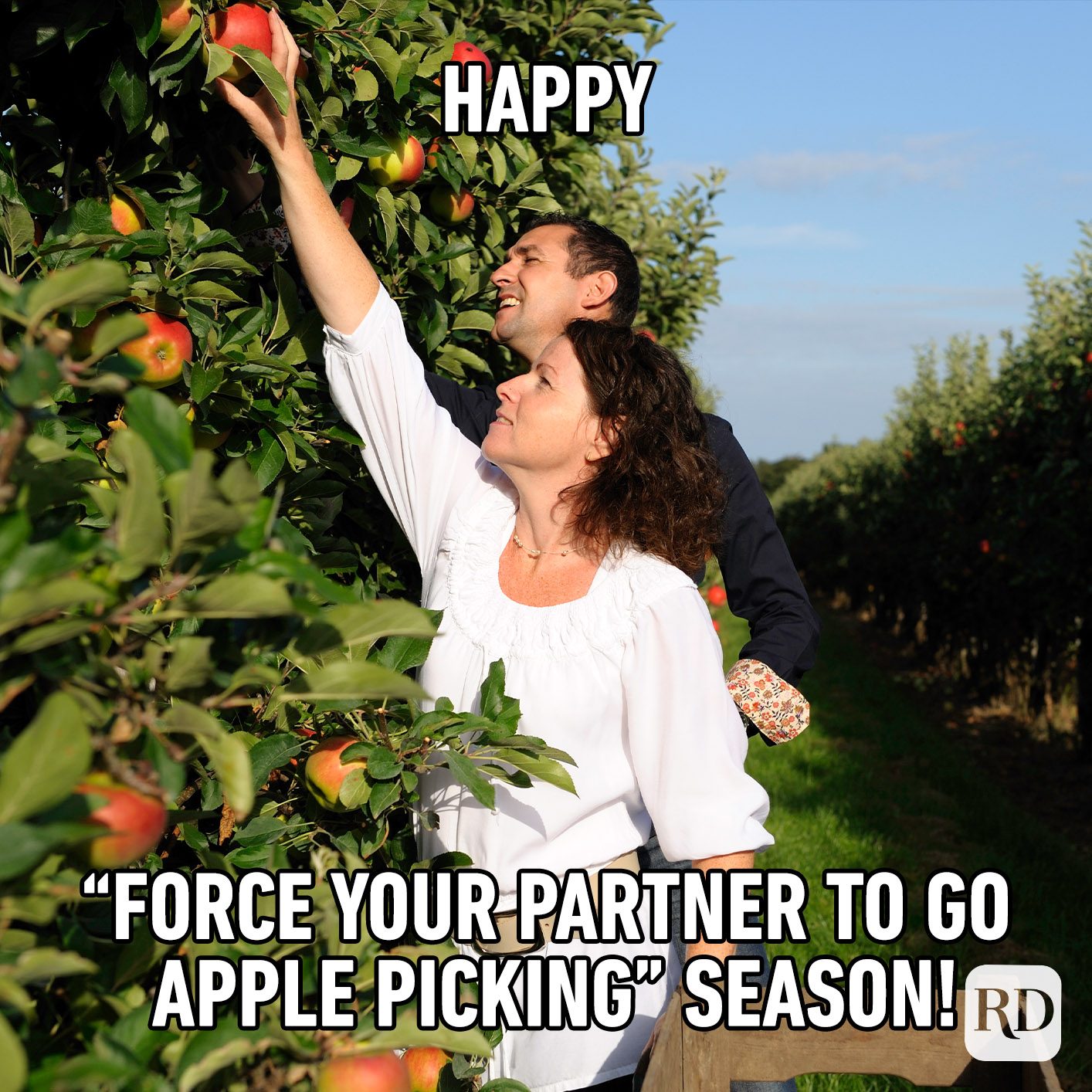 Happy “force Your Partner To Go Apple Picking” Season!