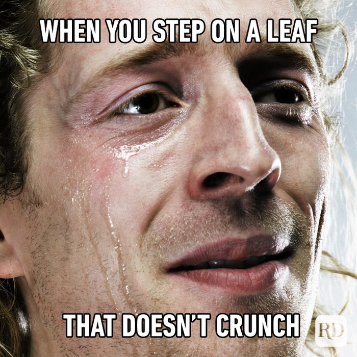 When You Step On A Leaf That Doesn’t Crunch