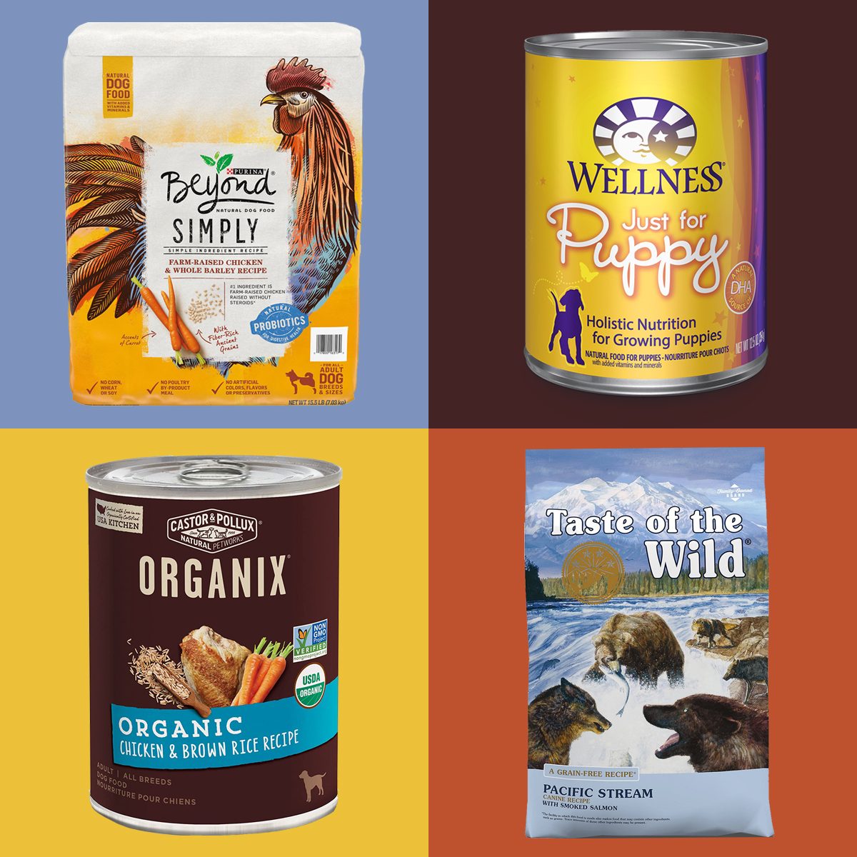 best all natural dog foods on color block background