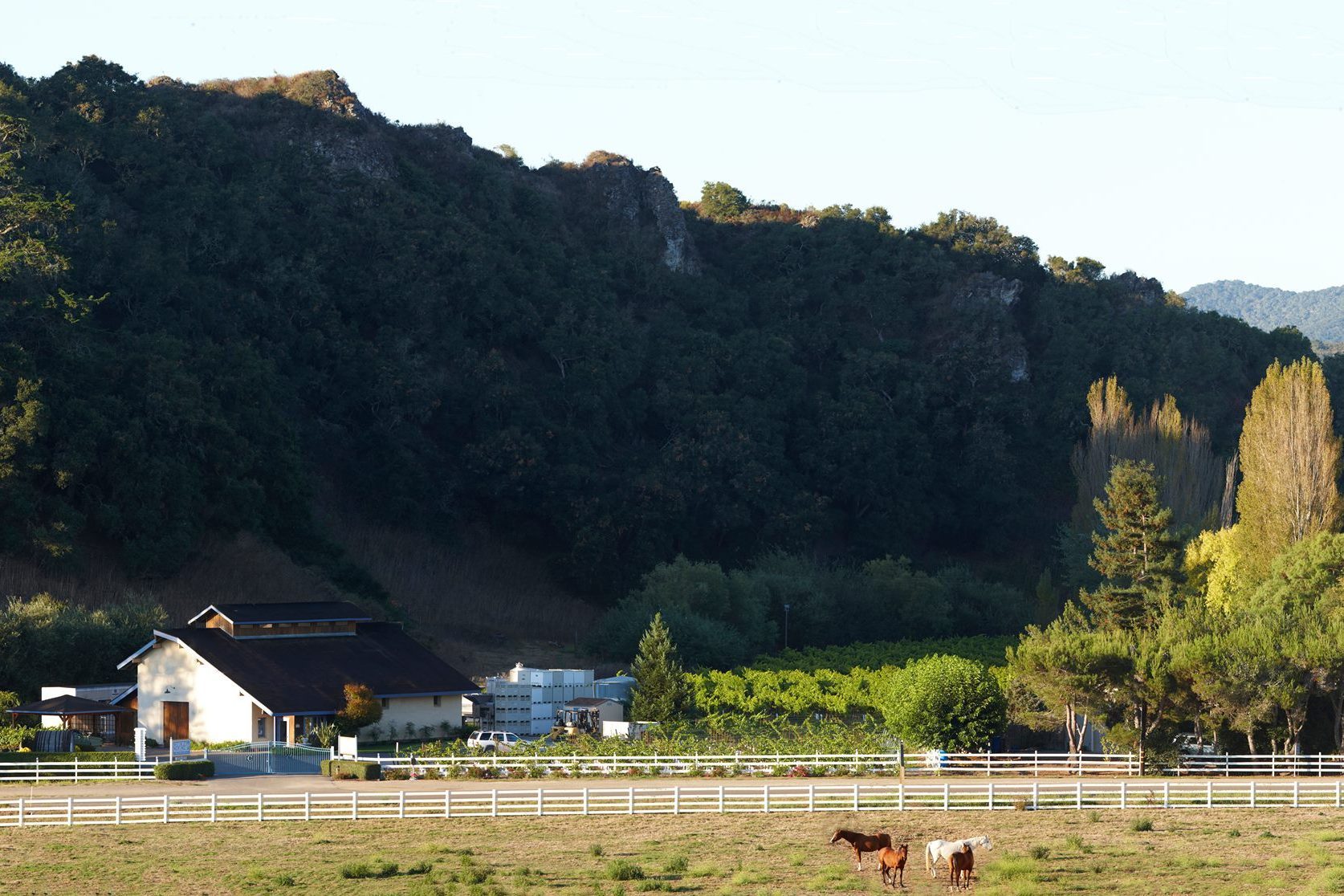 Claiborne & Churchill Winery