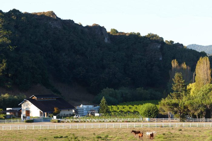 Claiborne & Churchill Winery