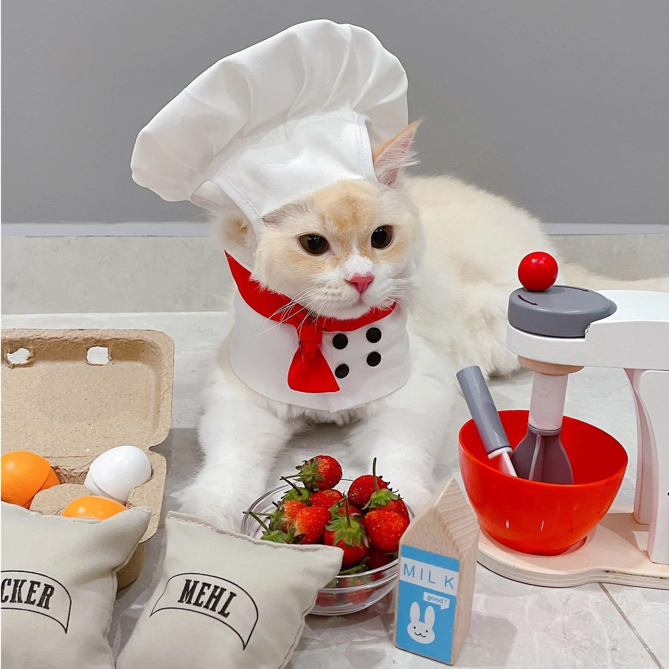 Dog Chef Halloween Cat Baking Ecomm Via Etsy.com