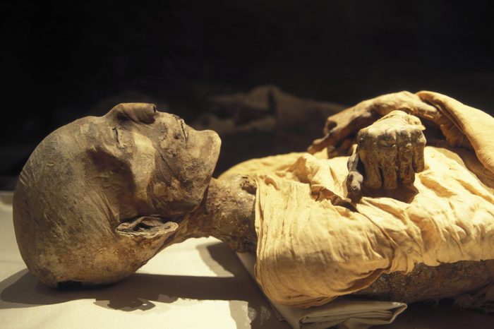 Egypt's Mummies