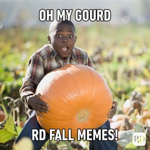 Fall Memes Ft