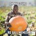 40 Funny Fall Memes That Perfectly Sum Up Autumn's Humor