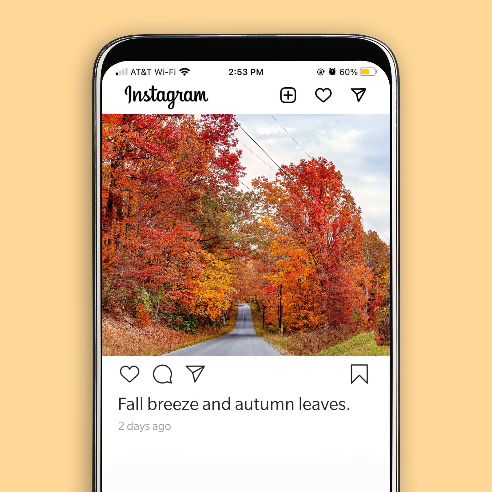 46. Fall breeze and autumn leaves.