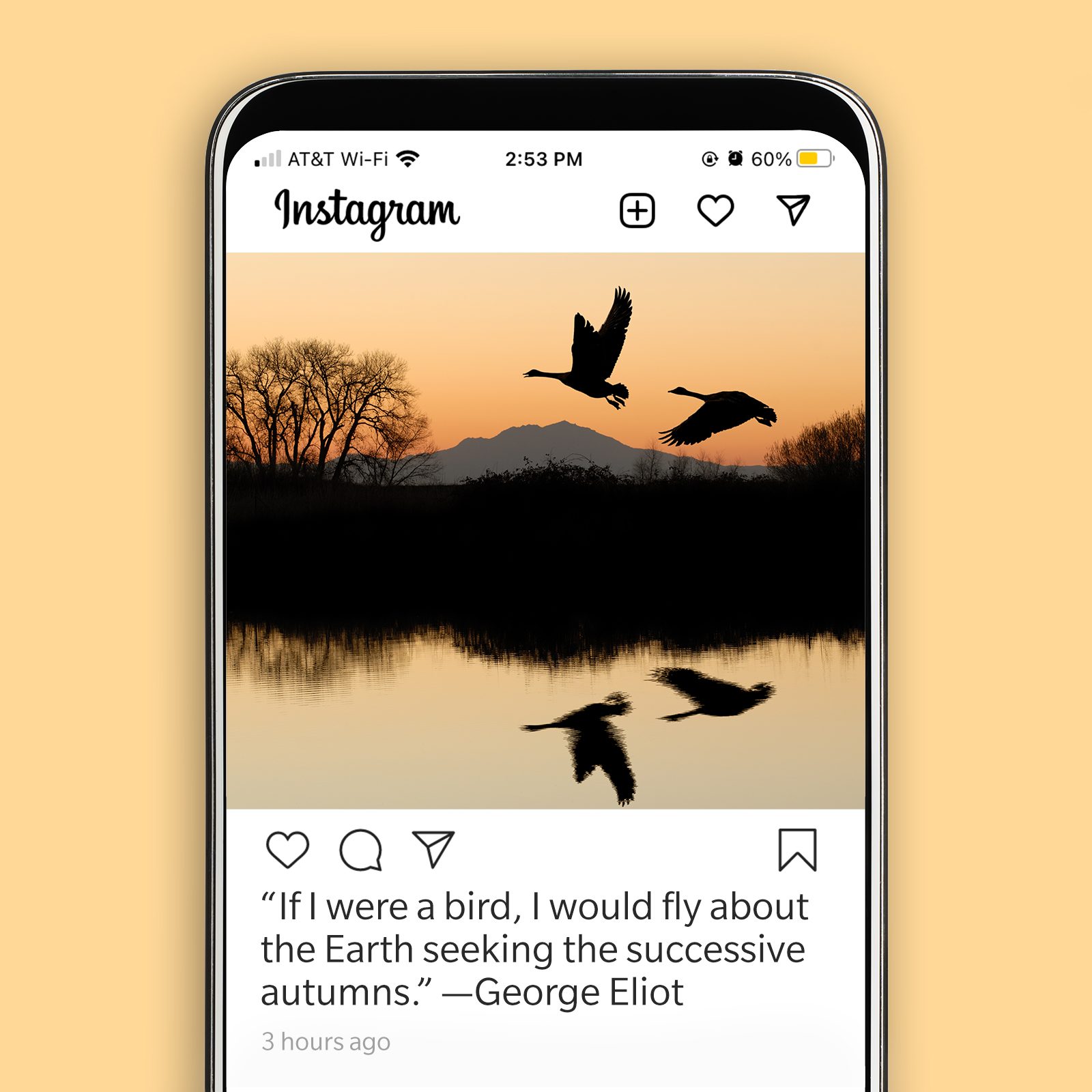 88. “If I were a bird, I would fly about the Earth seeking the successive autumns." —George Eliot