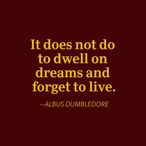 Albus Dumbledore quote