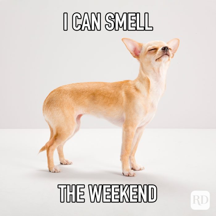 I Can Smell The Weekend