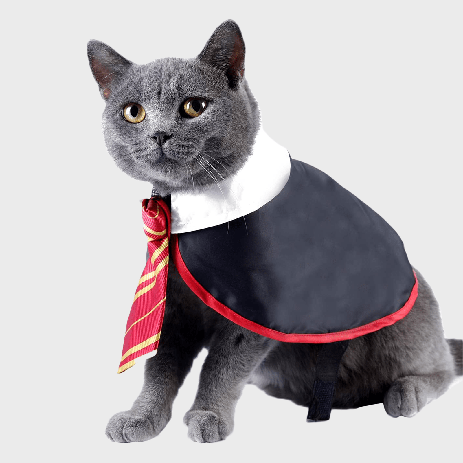 Impoosy Cat Costume Harry Potter Ecomm Via Amazon