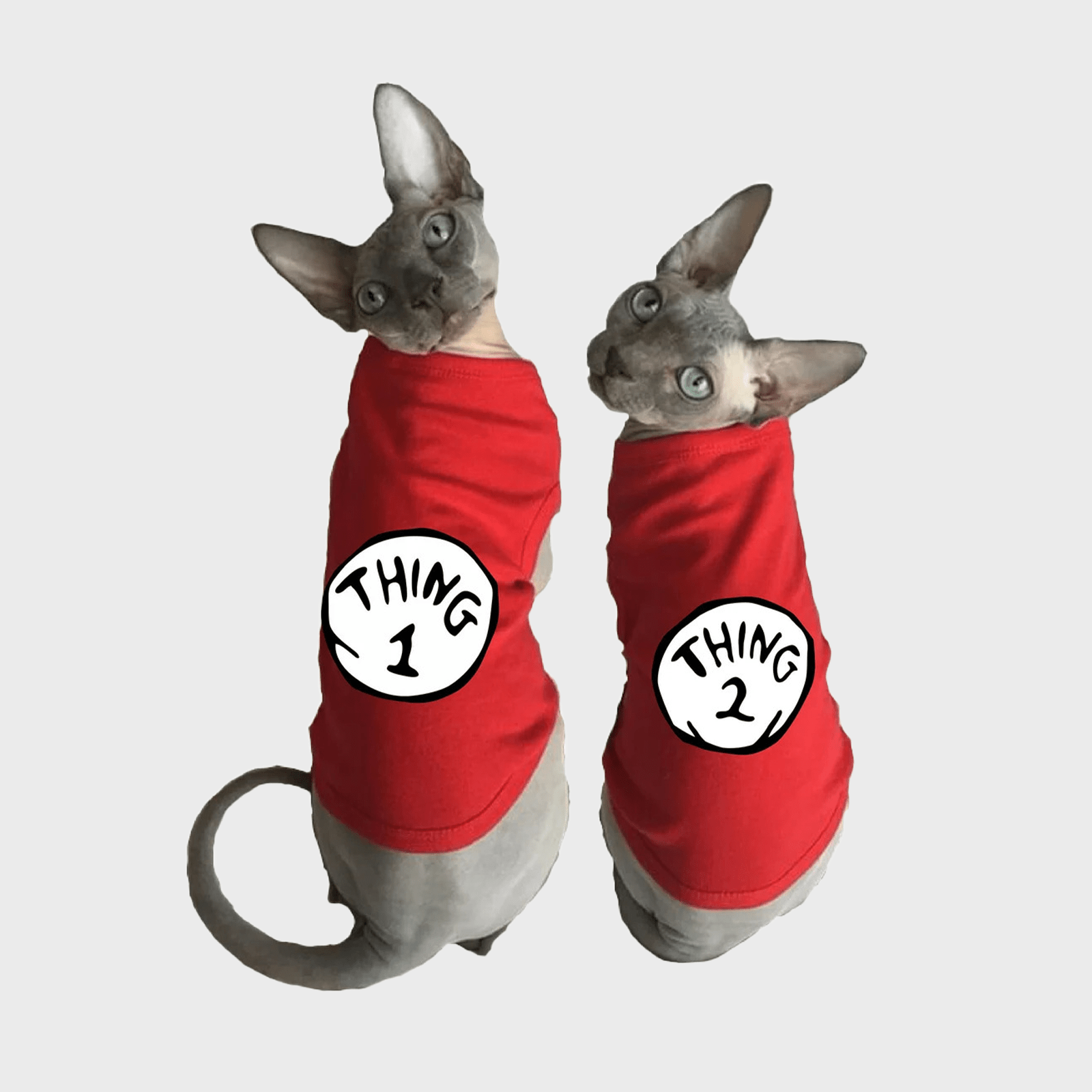 Matching Thing 1 Thing 2 Cat Tank Tops Via Etsy