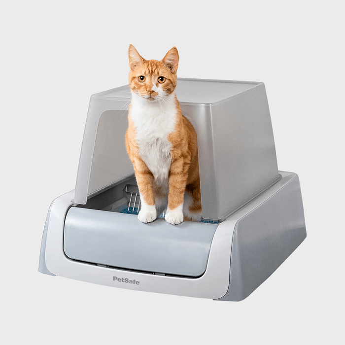 Petsafe Scoop Free Self Cleaning Litterbox