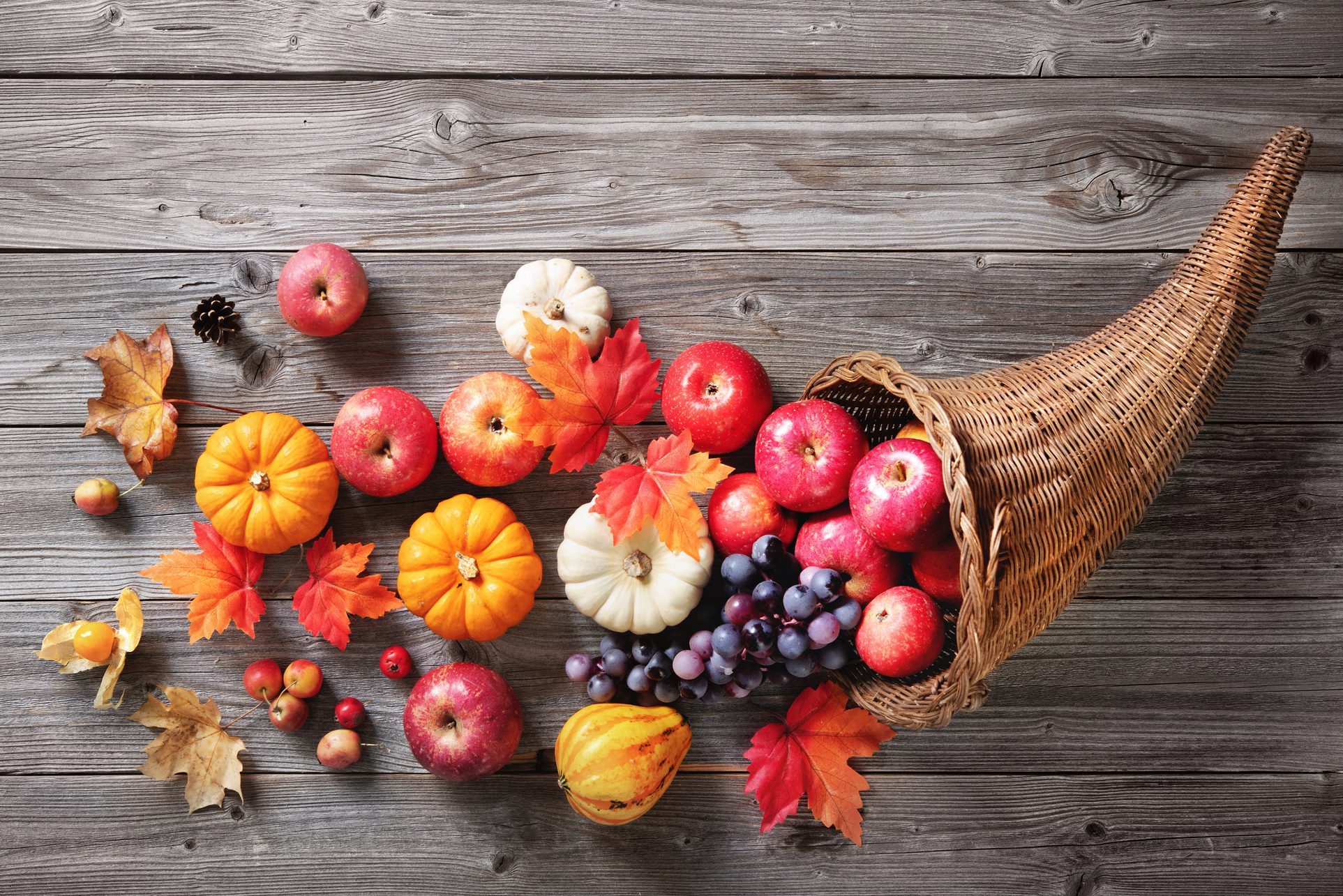 Thanksgiving cornucopia on a rustic wooden background