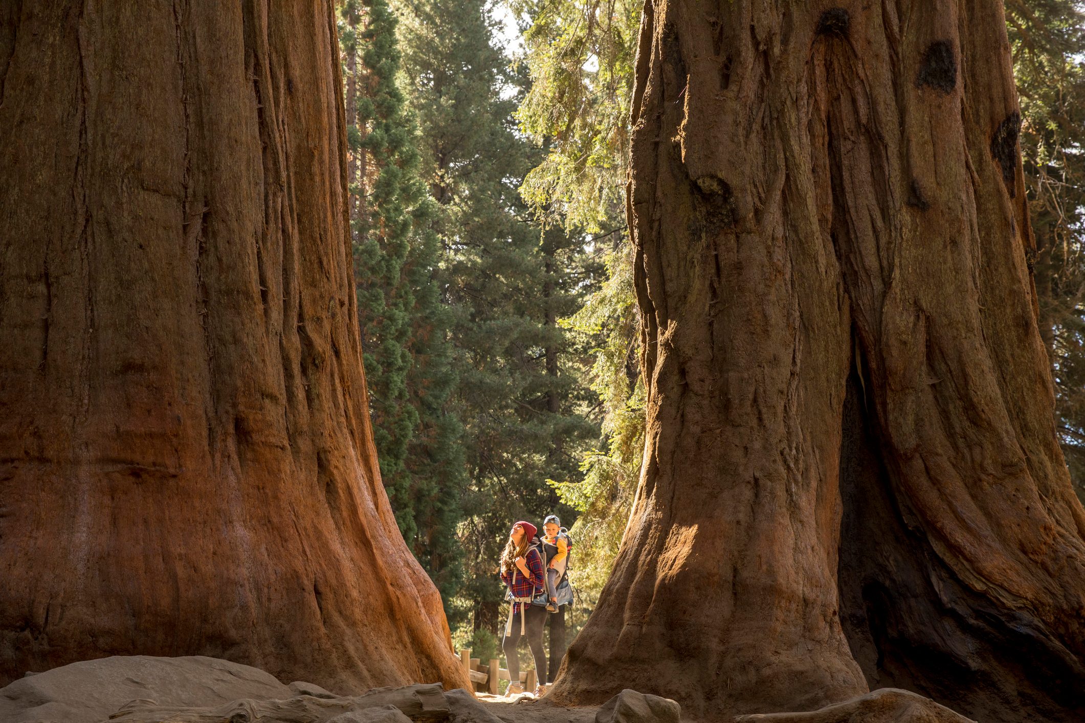 A mother and her son hiking in Sequoia National Park.