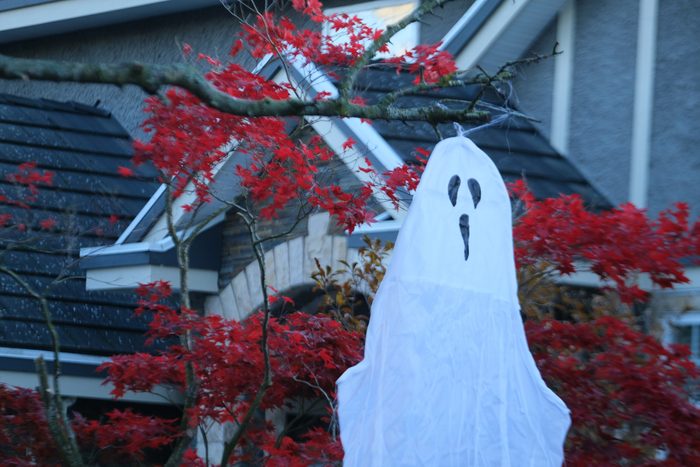 Happy Halloween with fall color