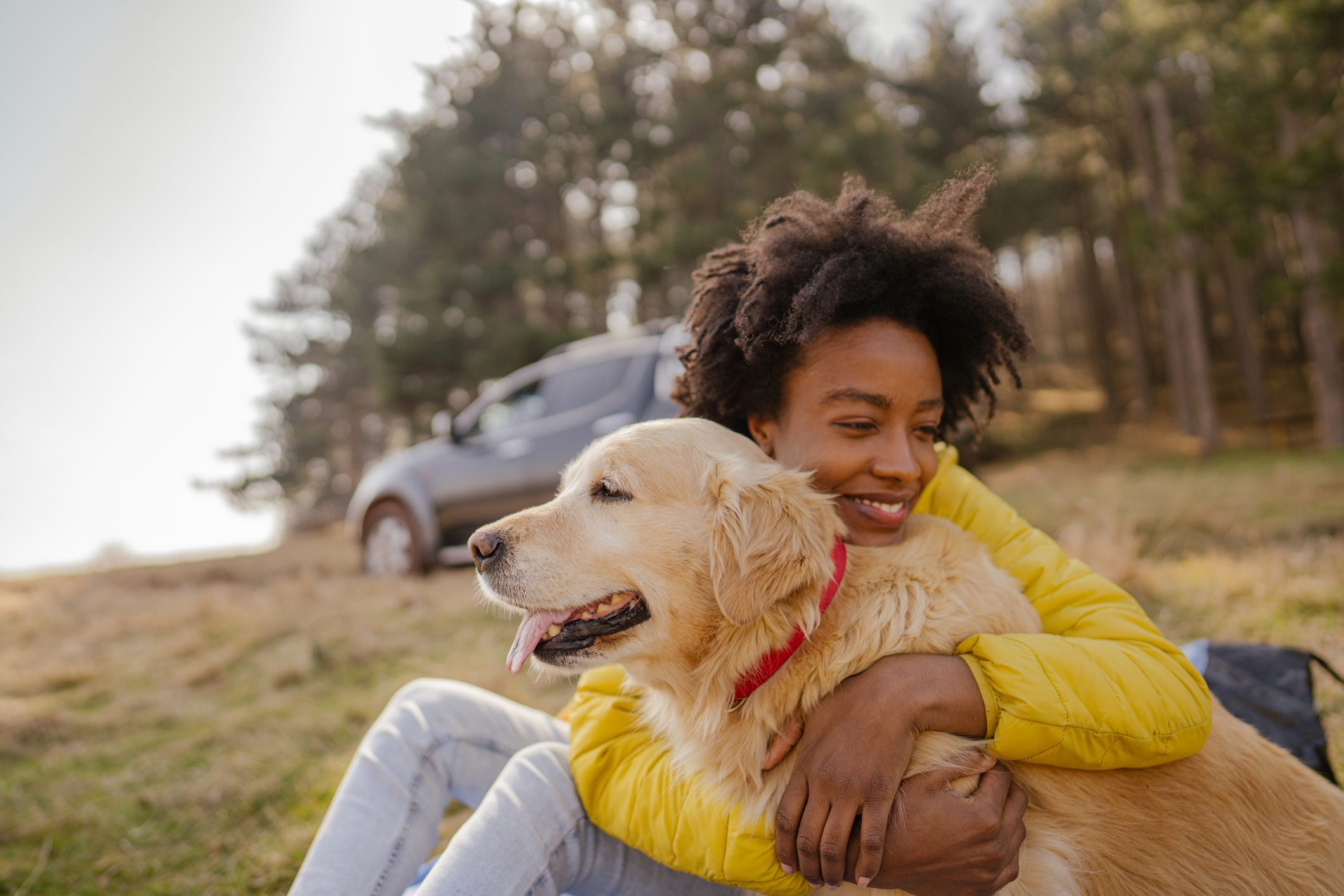 11 Best Emotional Support Dogs