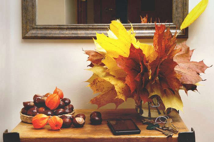 Autumn plant decorations in interior.