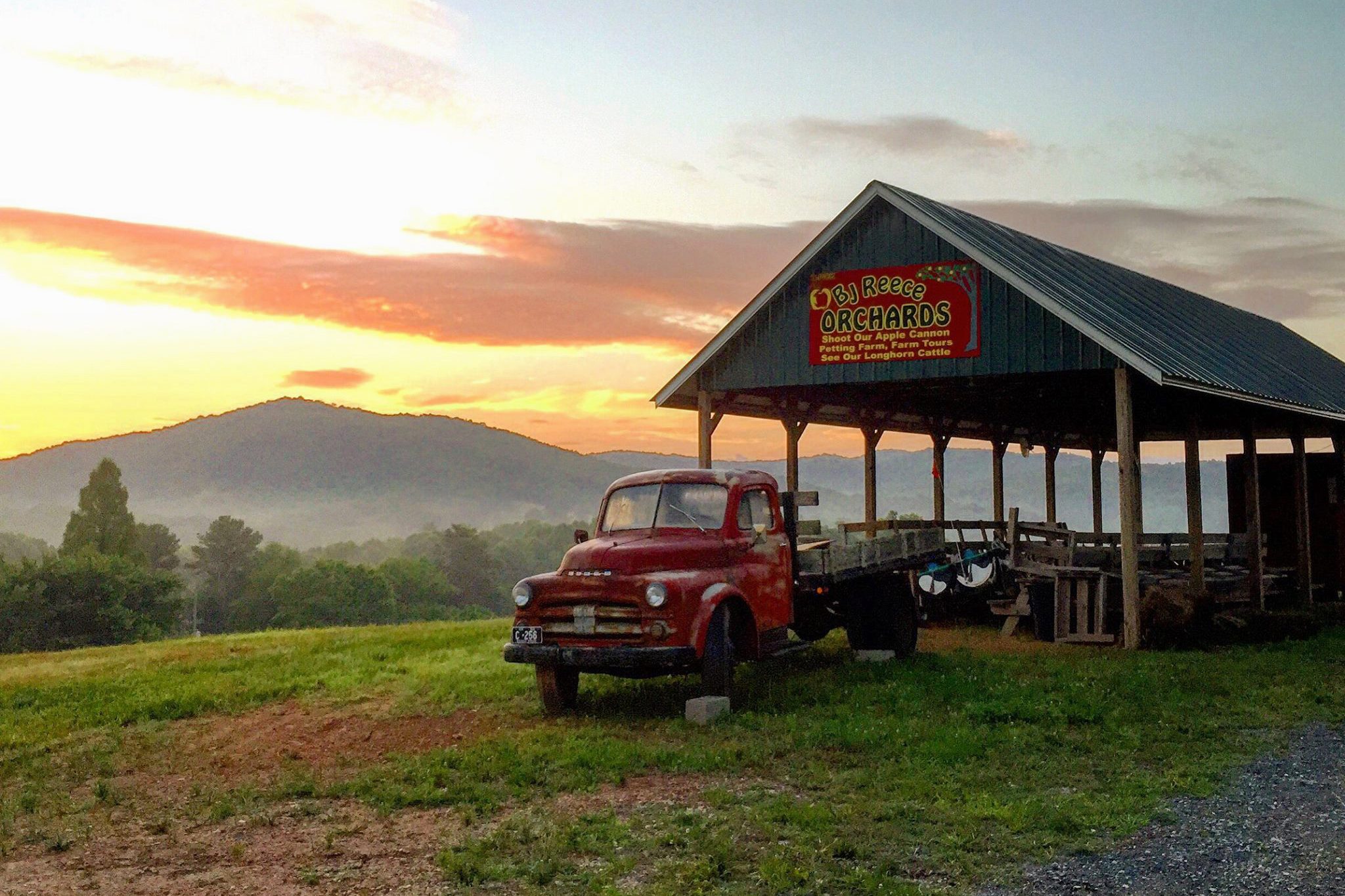 B.j. Reece Orchards