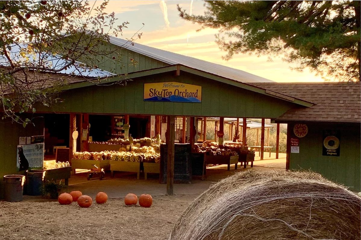 sky top orchards
