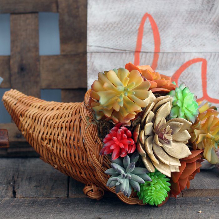 Succulent Cornucopia