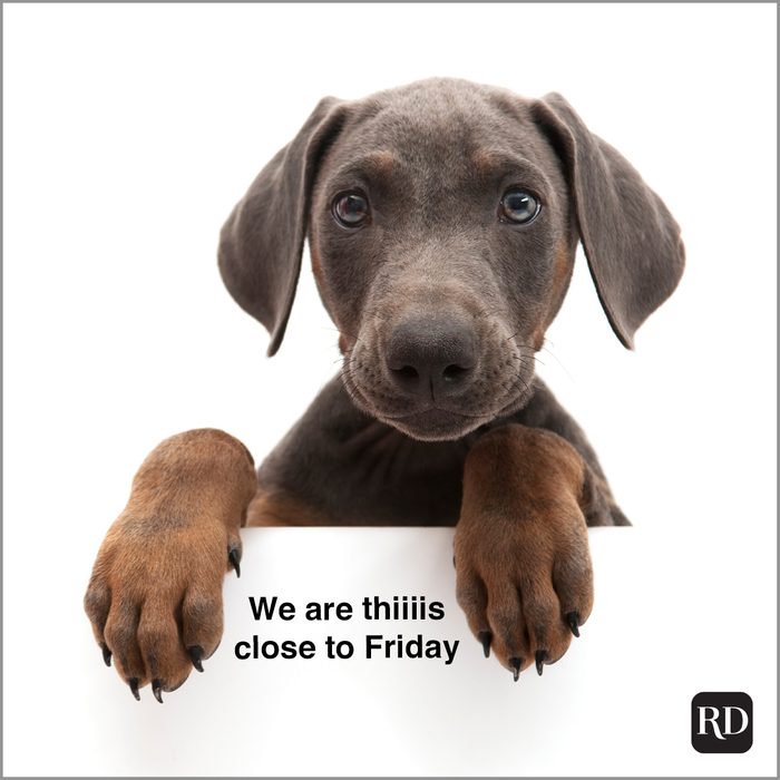 We Are Thiiiis Close To Friday