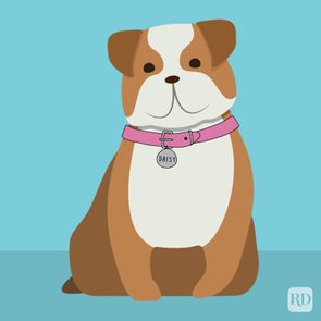 Disney Dog Names Daisy