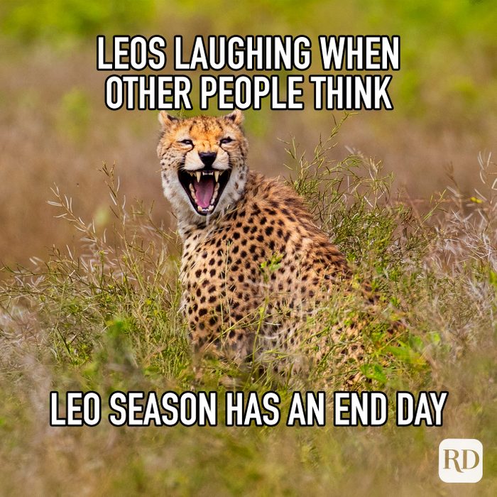 Leos Laughing When Other People Think Leo Season Has An End Day meme text