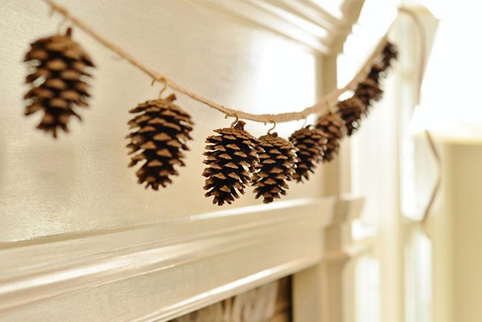 Pinecone Garland Courtesy Doug Scott