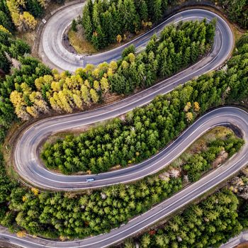 Aerial View Of Winding Road Amidst Tree