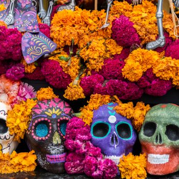 colorful flowers and skulls in celebration of day of the dead