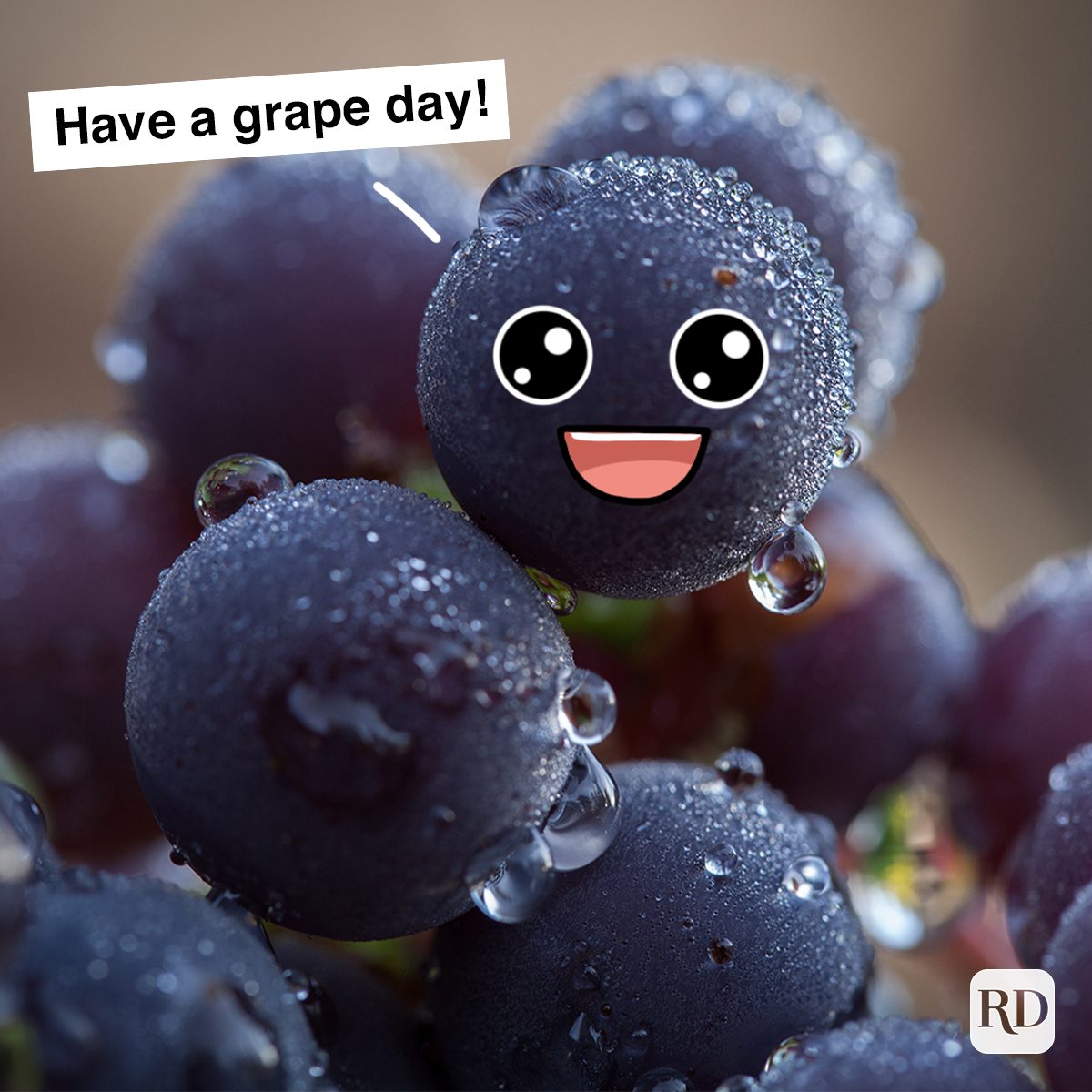  have A Grape Day 
