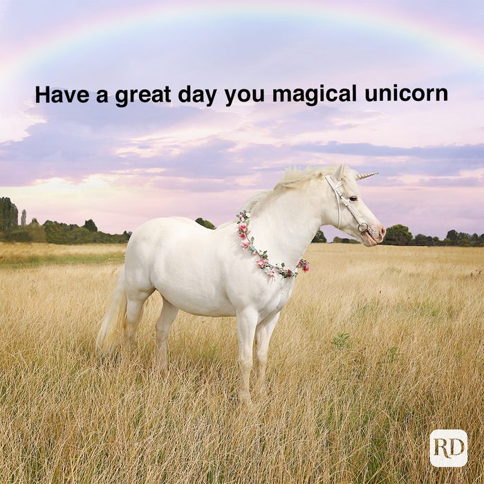 Have A Great Day You Magical Unicorn
