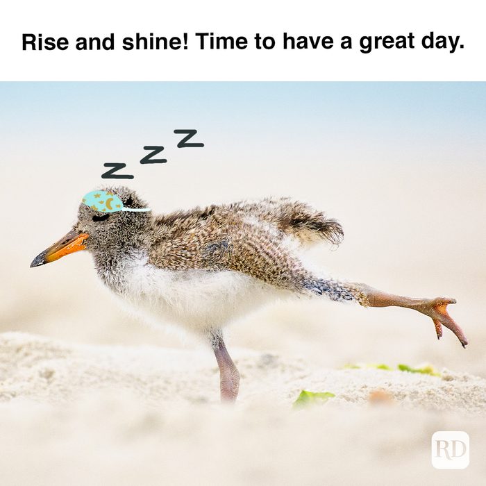 Rise And Shine Time To Have A Great Da