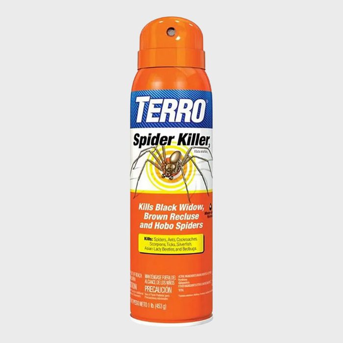 Terro Spider Killer Aerosol Spray