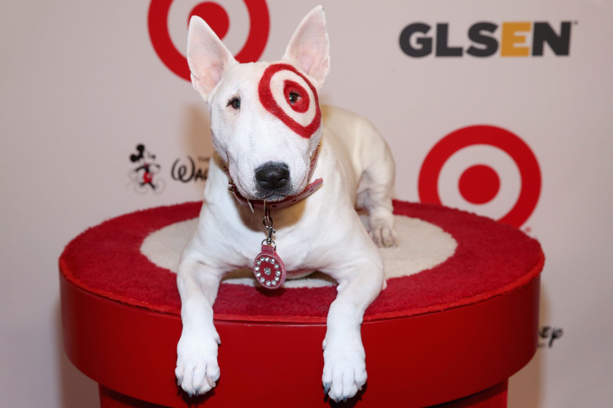 Who Is the Target Dog? Everything You Need to Know About the Target Mascot