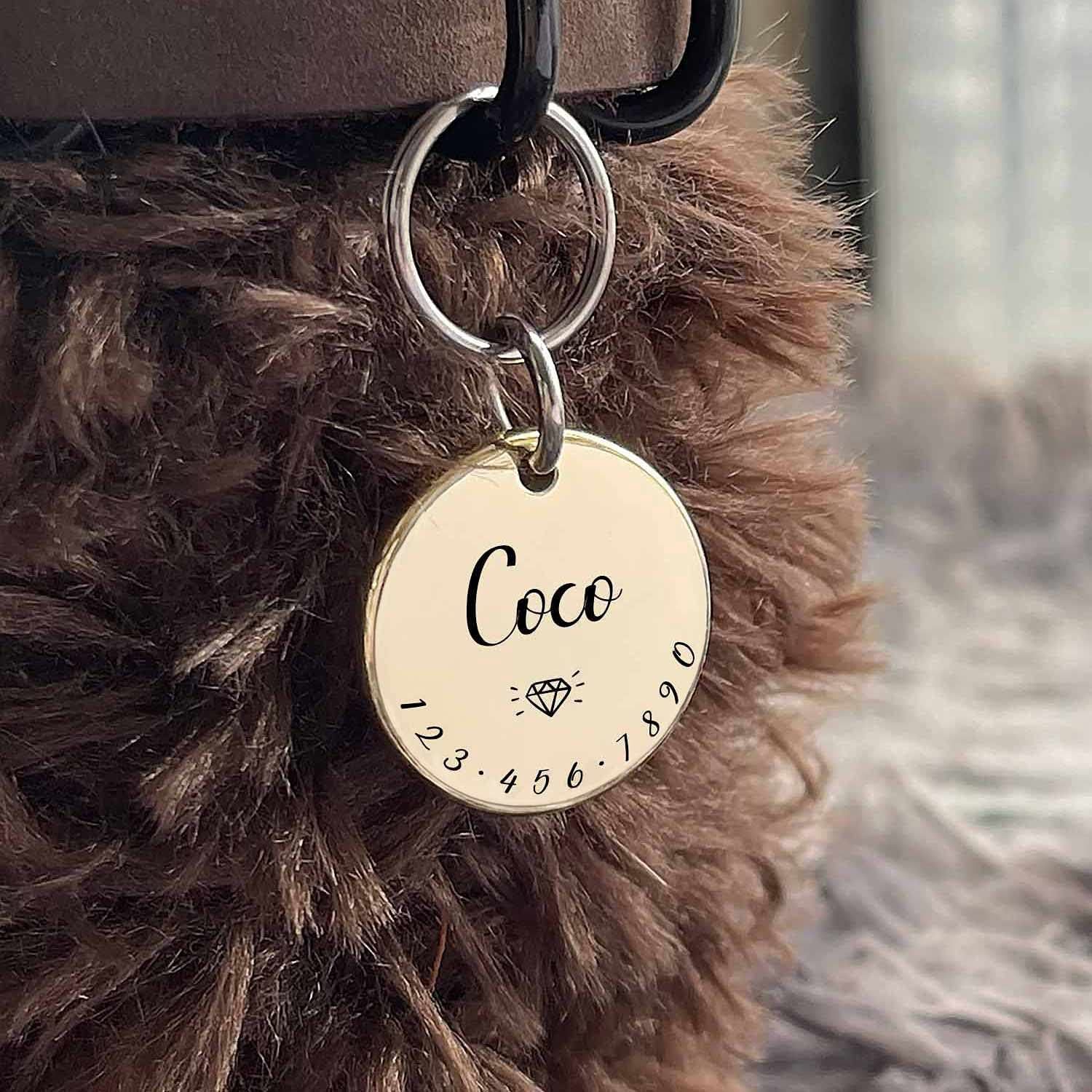 Engraved Pet Tag 