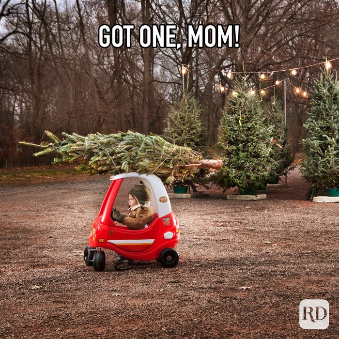 Got One Mom meme text over child with christmas tree strapped on top of childs car