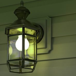 Green Porch Light close up