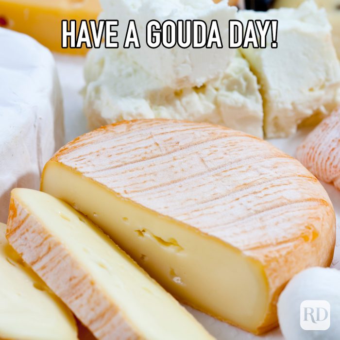 Have A Gouda Day meme text over image of gouda
