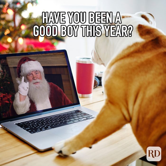 Have You Been A Good Boy This Year meme text over dog video chatting with santa